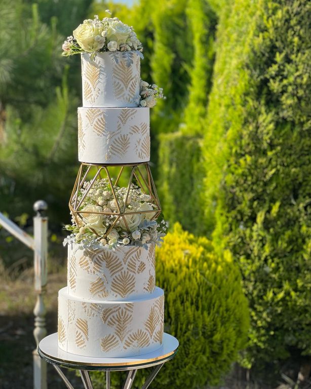 349435970_1326578214596546_9212310858505190564_n